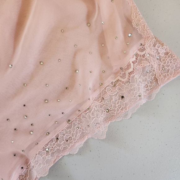 Victoria's Secret Pink Sheer See Through Panty Panties Bloomers New NWT Lace - Picture 2 of 7